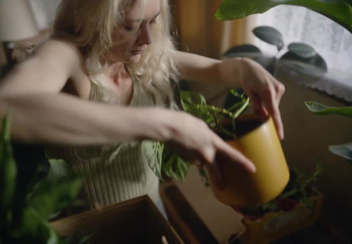 A woman takes a potted plant and places it on the counter