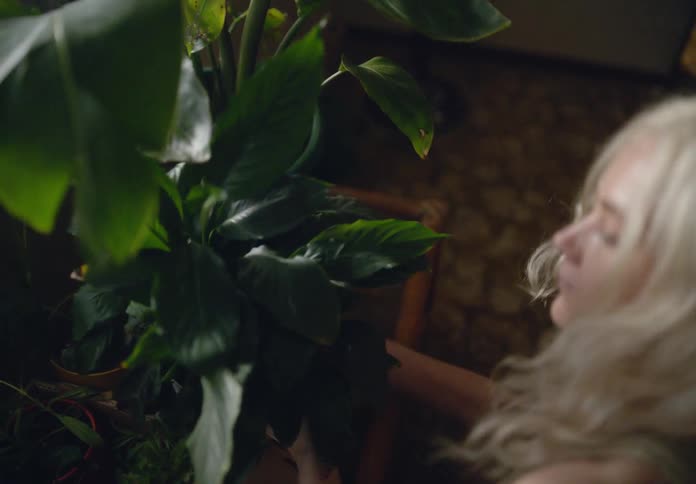 Woman picking up a potted plant and placing it in a room in the house