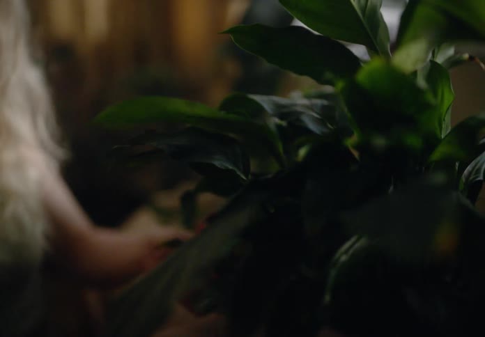 Pair of womans hands placing a pot of green plants in a room of the house