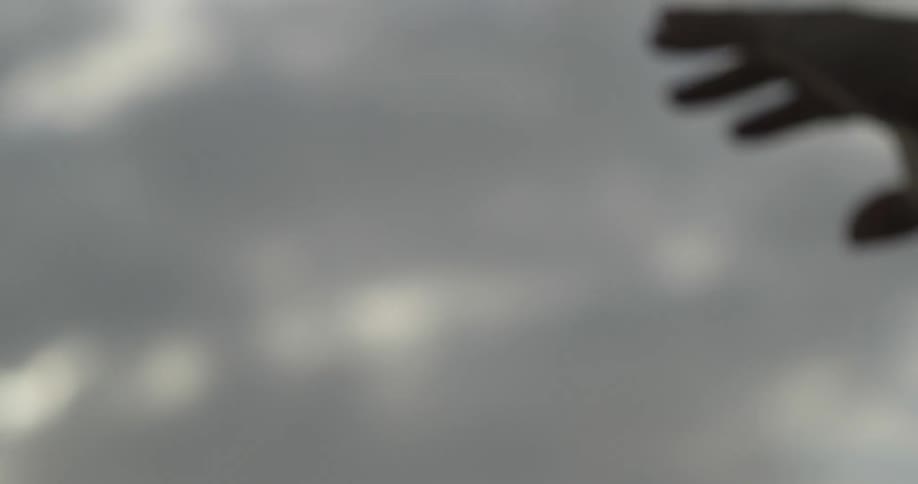 A hand reaching into a cloudy sky as if feeling the breeze