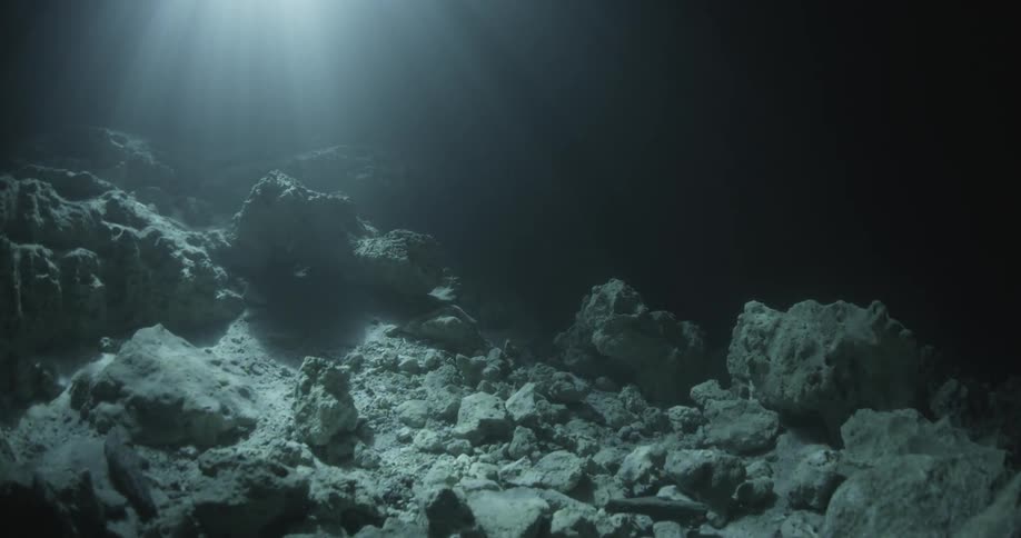 Light filters through the water to the bottom