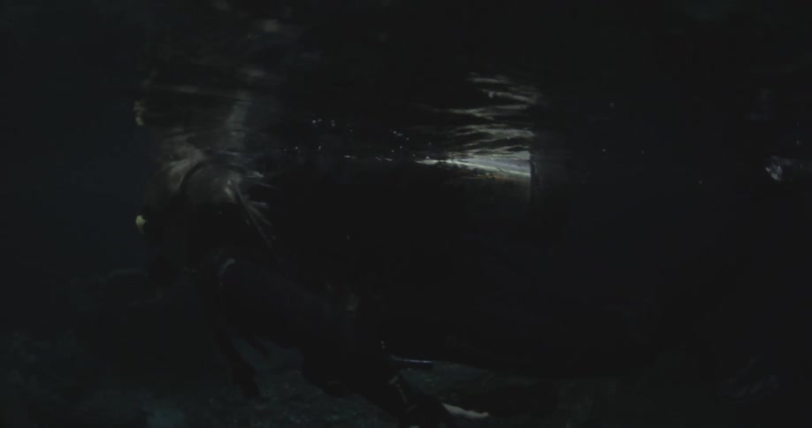 A scuba diver swims just beneath the surface