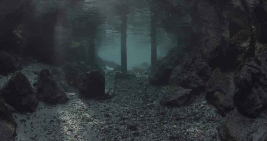 An underwater scene of rocks and the floor