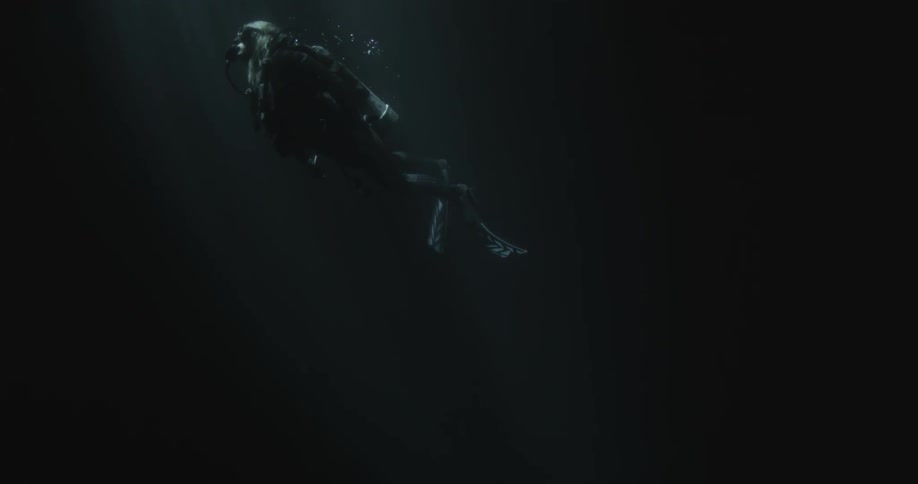 A diver swims in the dark waters