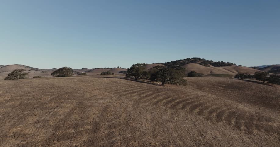 A wide clip of a plain grassland