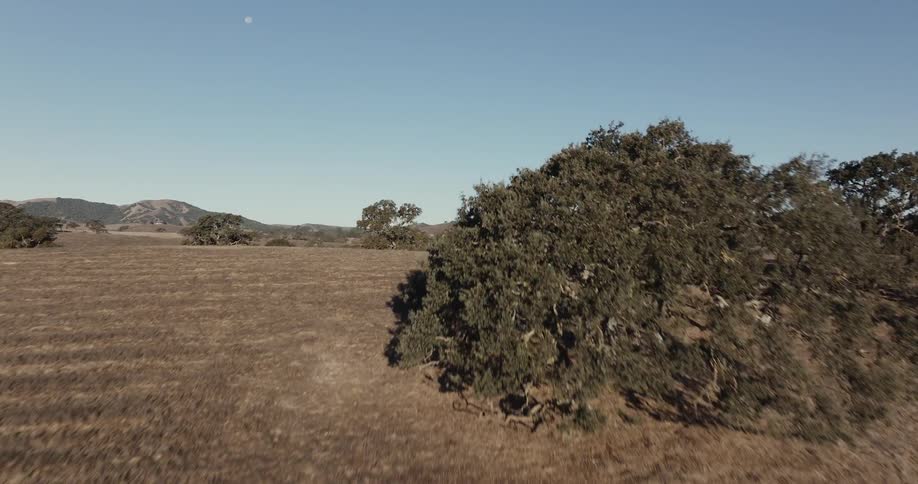 Trees dot the hills surrounding rural homes under a blue sky