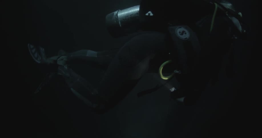 Light from the surface shines on a scuba diver