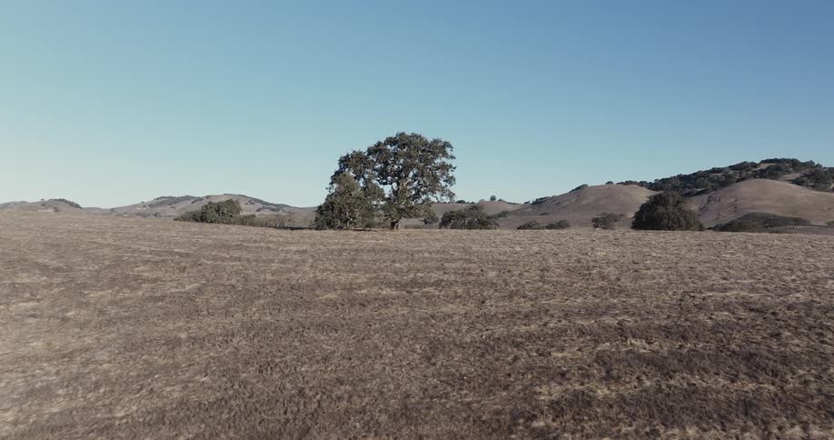 A revealing footage of a vast grassland during fall