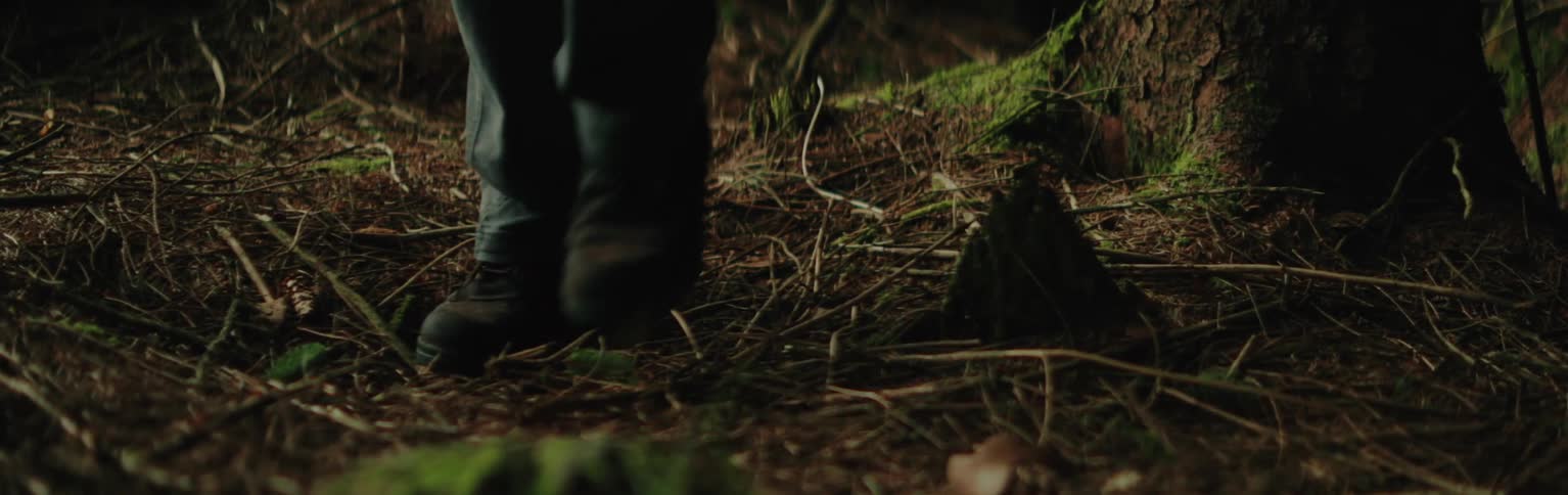 Darkclad legs and feet are partially visible walking amidst a forest floor of twigs moss and bracken