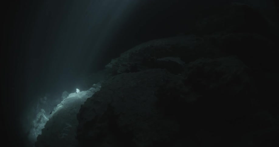 Light filters through the water to the bottom
