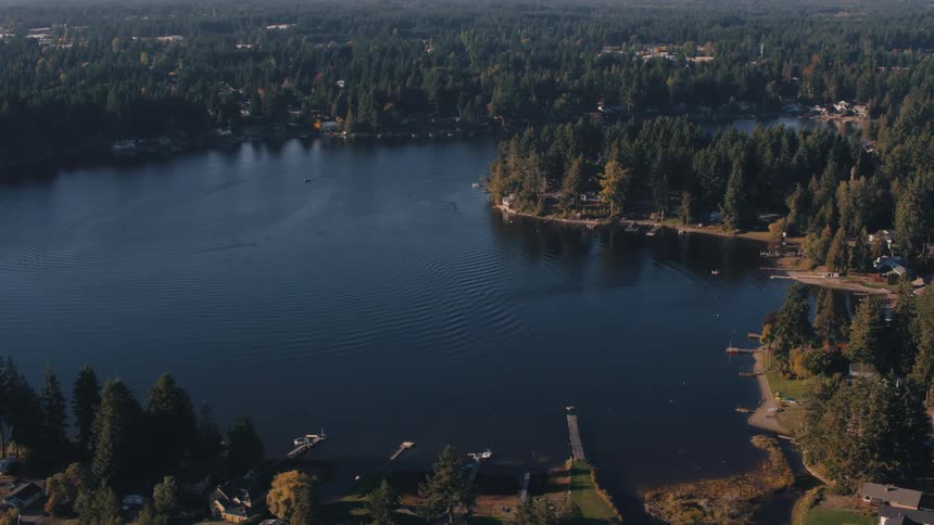 Aerial of a lakeside housing community surrounded by an evergreen forest