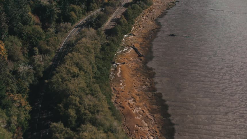 Vehicles drive along roadways paralleling the shore while passing conifer groves