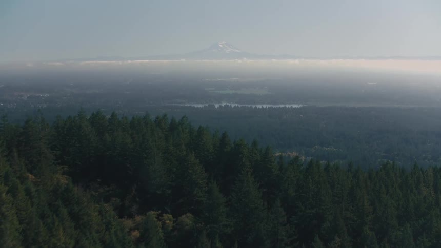 Aerial panorama of a blessed forest with mountains on the horizon