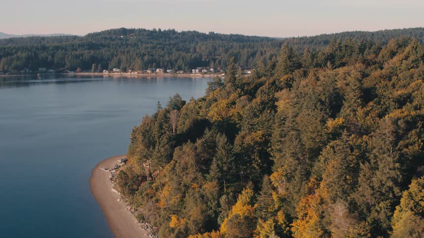 Aerial view of houses in wooded hills by the sea