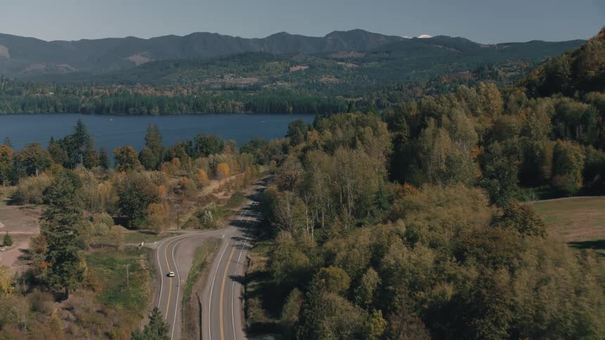 Aerial view of a highway winding through a forested area by the sea