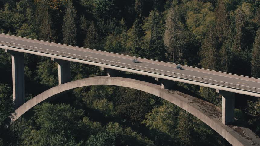 Suspension bridge surrounded by dense forest