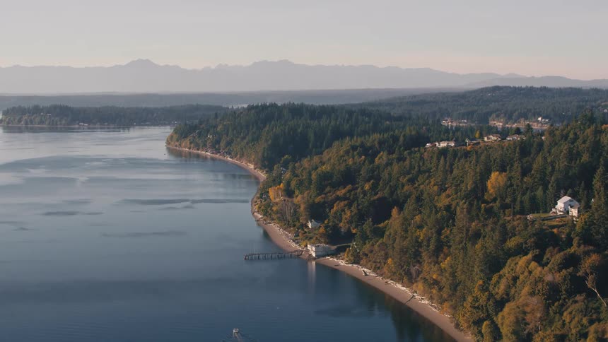 Aerial landscape of an island surrounded by sea and forested