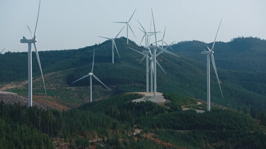 A clip of wind turbines in the forest