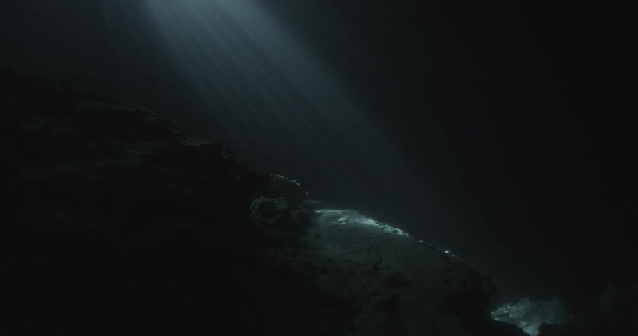 Light filters through the dark water