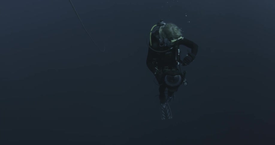 A scuba diver swims in the ocean