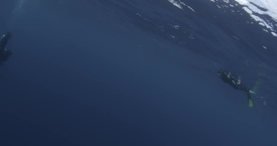 Divers swim in the blue ocean water