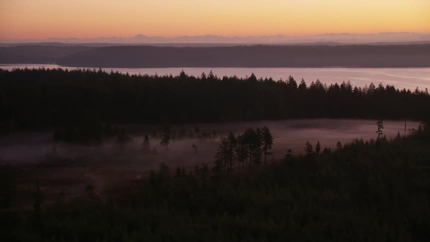 Aerial landscape of low clouds in a dense forest against a purple and red sky