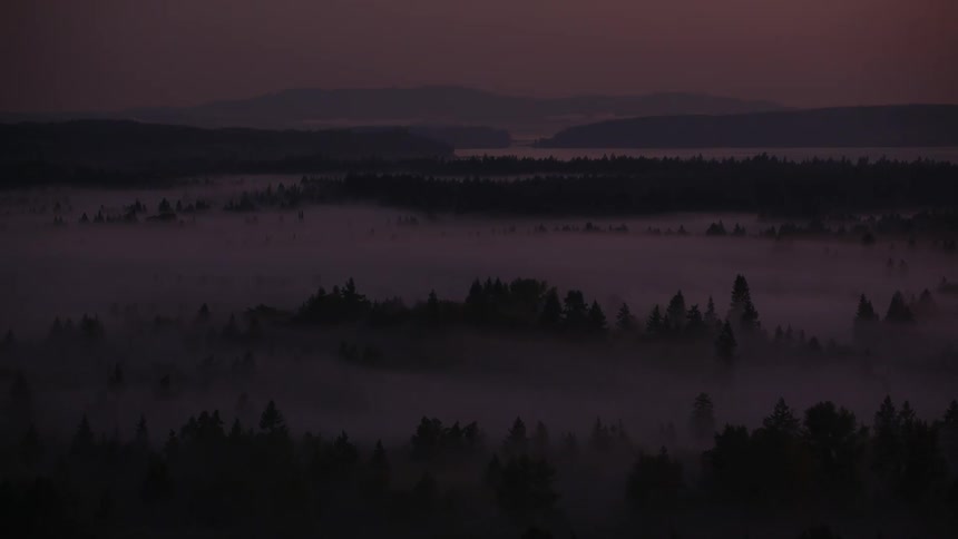 Aerial shot of a sea of low clouds covering a forest and the silhouette of mountains on the horizon