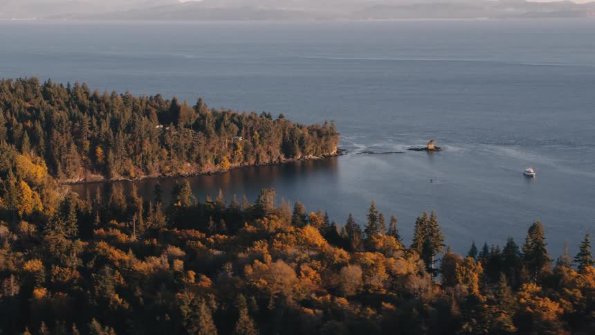 A boat is traveling by the forest on the shore