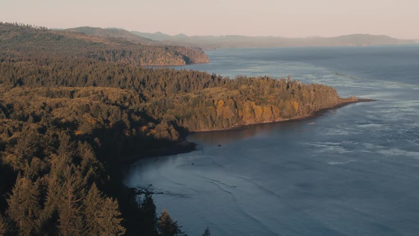 Waves roll towards the forested coast on a foggy autumn day