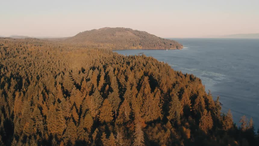 A dense forest is on the shore of the islands