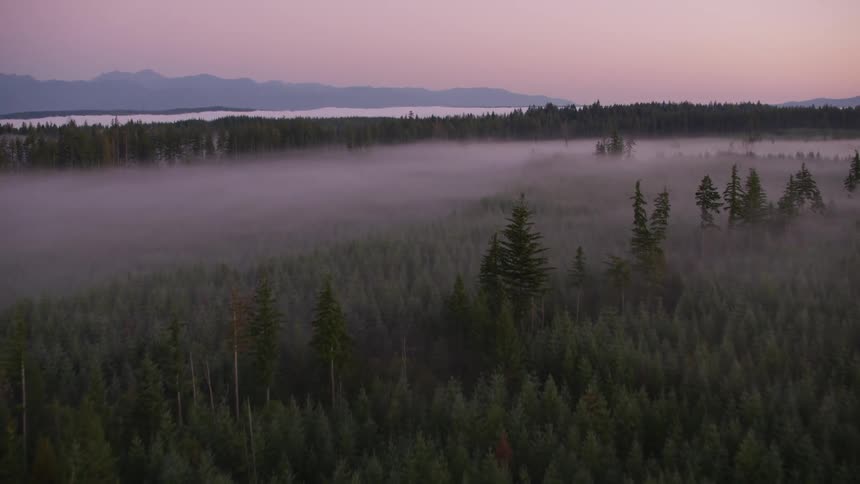 Lake separates forest terrain from the mountains under a red sky during foggy weather