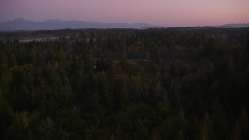 Aerial landscape of a forest against a purple sky and the silhouette of mountains on the horizon