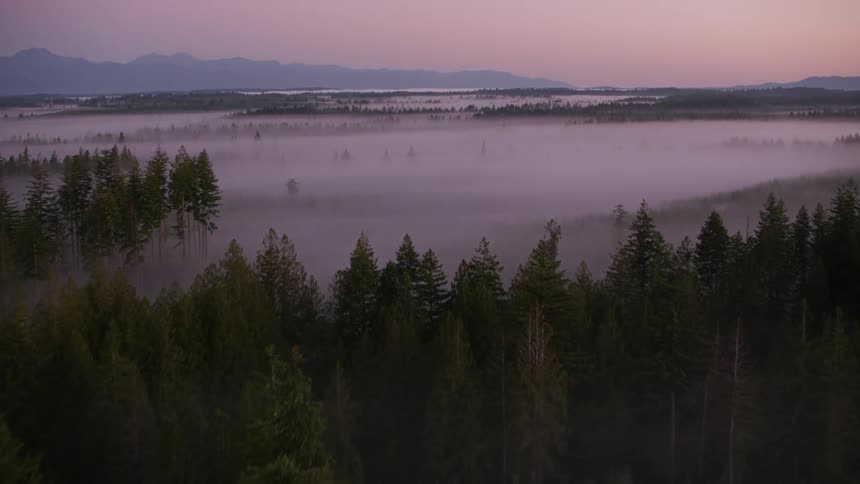 Roads pass through fog covered forested terrain under a red sky