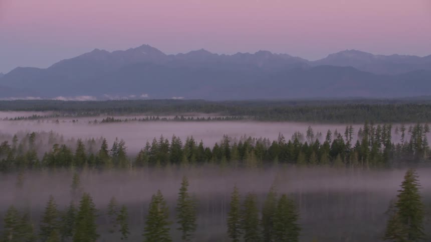 The landscape is covered in heavy fog