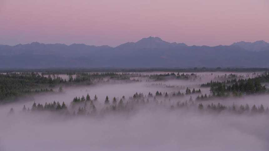 Aerial landscape of a forest covered in mist and the silhouette of mountains on the horizon