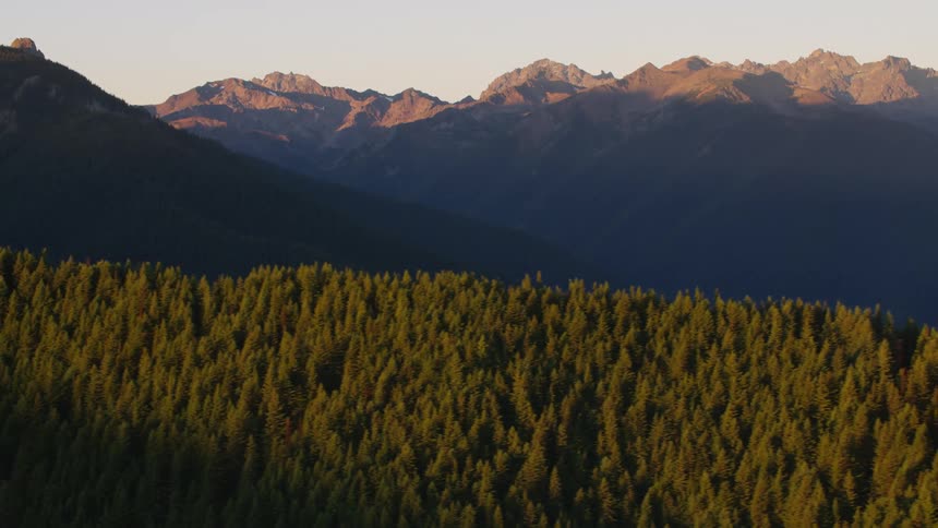 Aerial landscape of a forest on a mountain seen at dawn