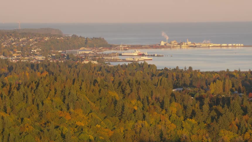 Aerial shot of a seaside forest and a city in the background