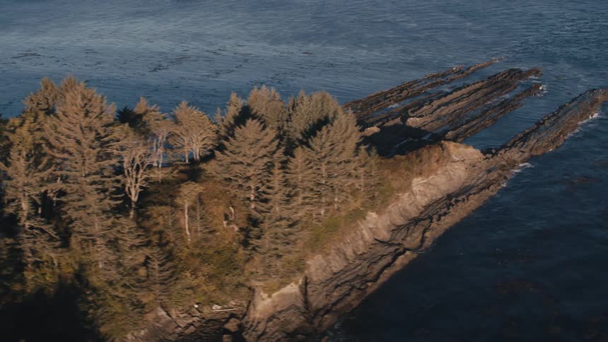 Aerial landscape of a wooded seaside coastline