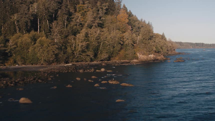 Landscape of a coast with forest by the sea