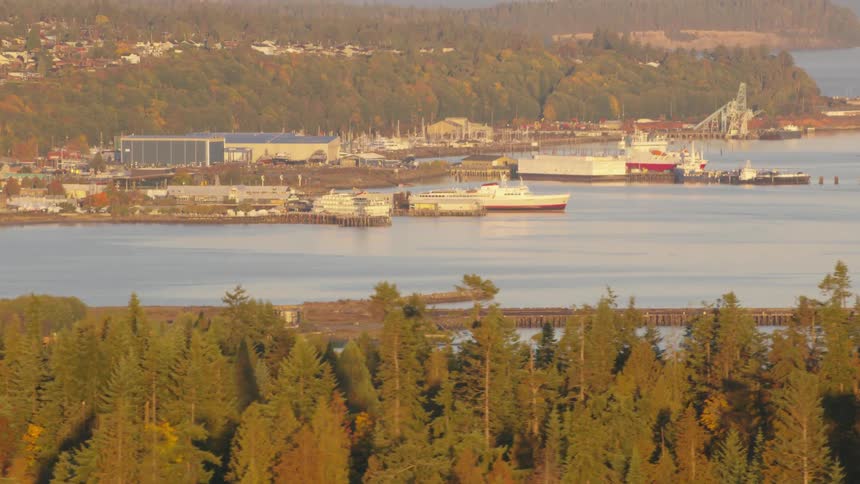 Aerial view of boats docked in a port and in the background an urban city surrounded by vegetation