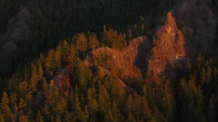 Sunlight catches the peak of a rocky cliff amidst a dense dark forest