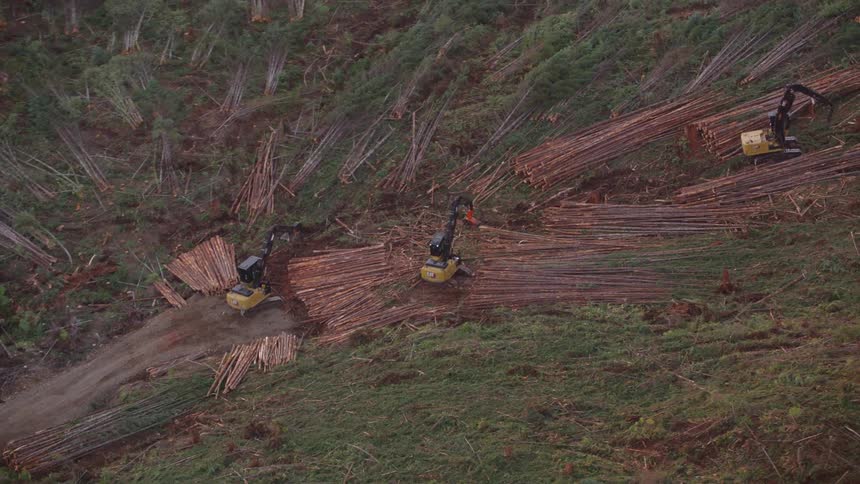 Aerial shot of machines cutting trees in a natural area