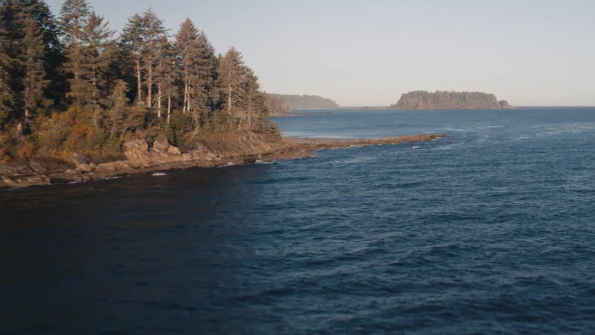Forest covers coastal terrain and a nearby island under a blue sky during a foggy day