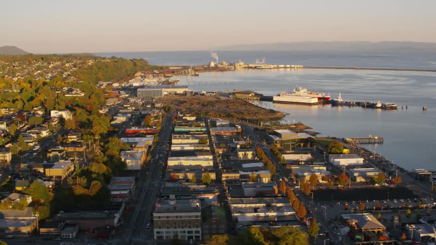 Urban city surrounded by trees and by the sea with a port
