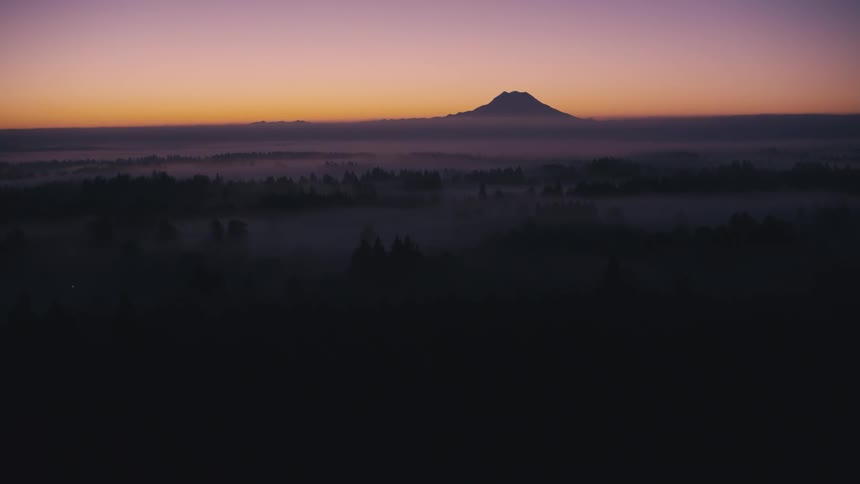 Aerial of mount rainier and an evergreen forest at sunset