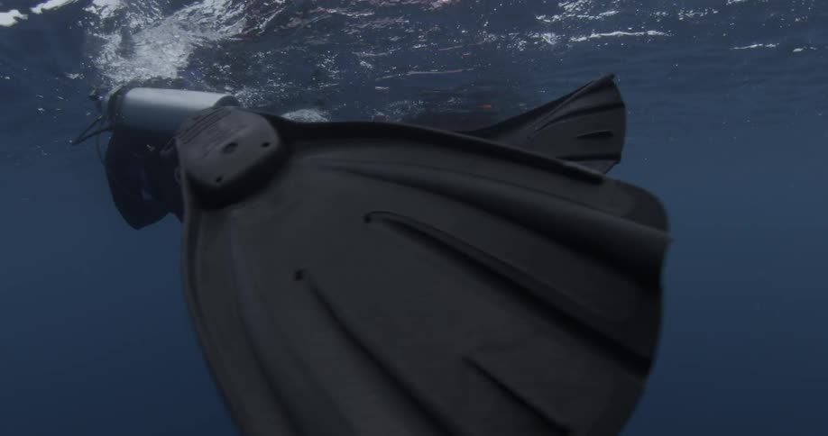 Two scuba divers move around in the water