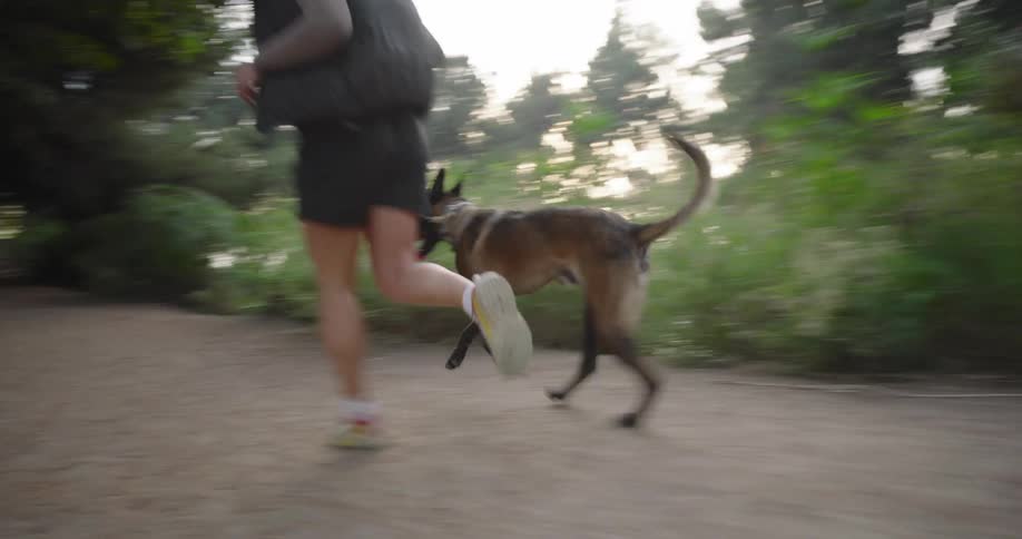 Woman finishing tying her shoelaces and starting to run with her dog