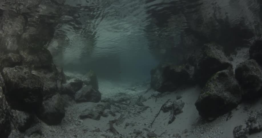 An empty canyon of rocks filmed in the shallow ocean floor