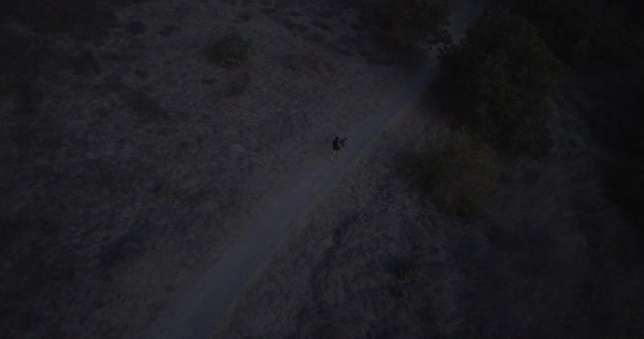 A person is running on a long hiking trail with a dog