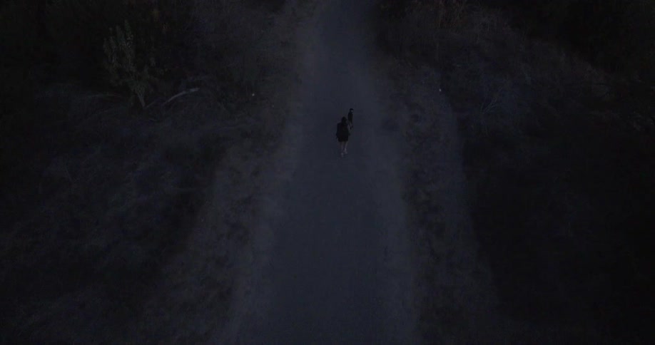 A person walking a dog on a winding dirt path through a hilly dry landscape with sparse vegetation during twilight or early evening
